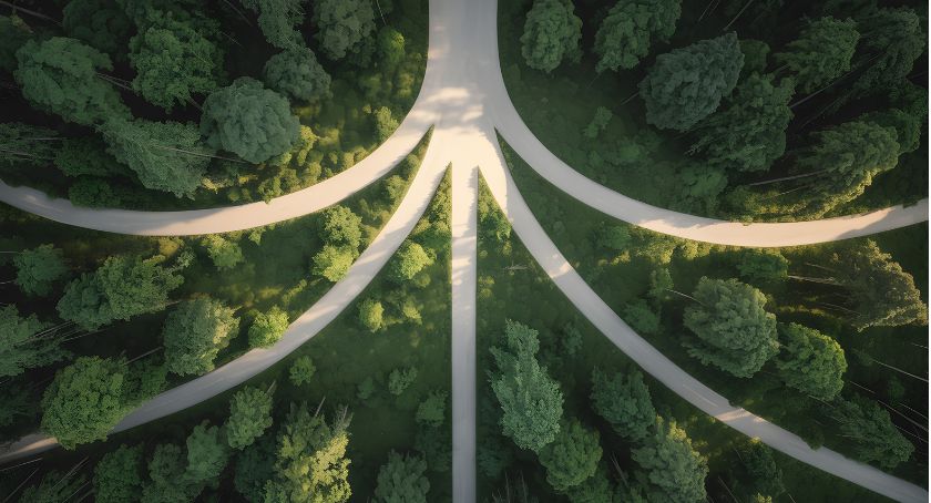 Design and Development Roads Converge at Biocompatibility